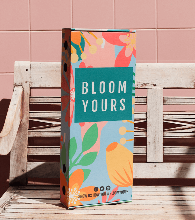 Bloom Yours DIY flowers Arrangements Kits